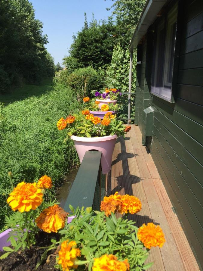 Villa Gardenhouse Mariposa Badhoevedorp Exterior foto